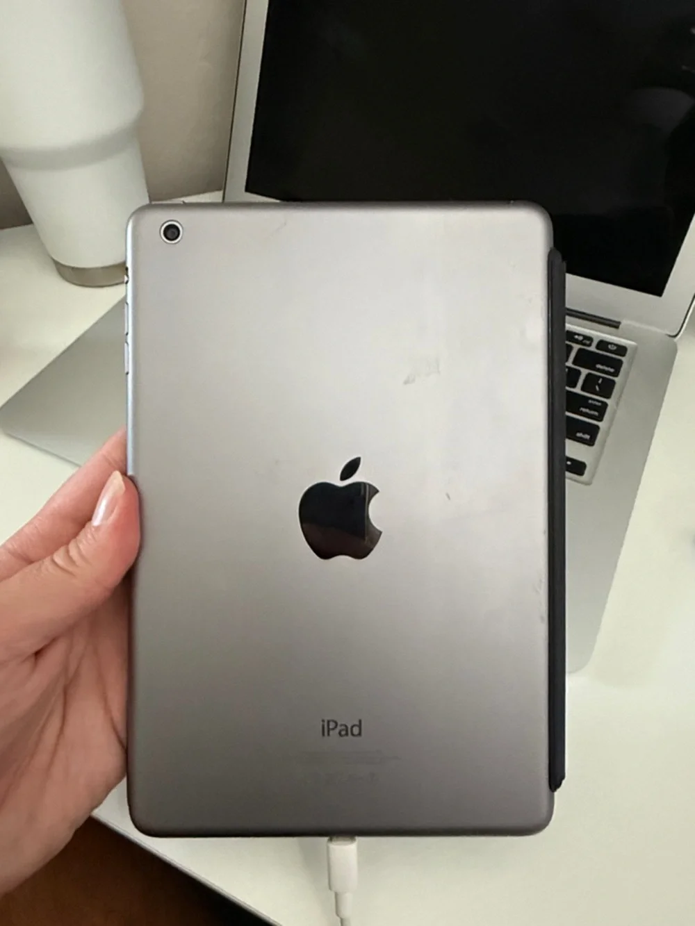 iPad mini with FlappyBird